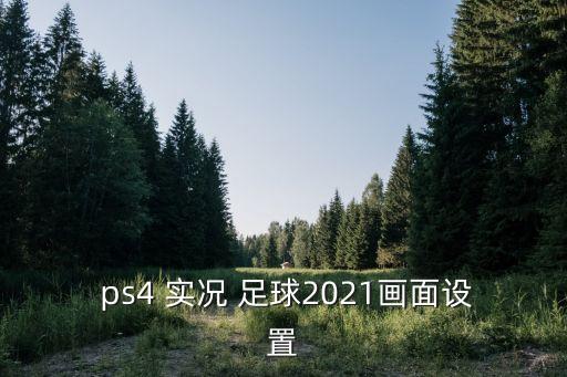  ps4 實(shí)況 足球2021畫面設(shè)置