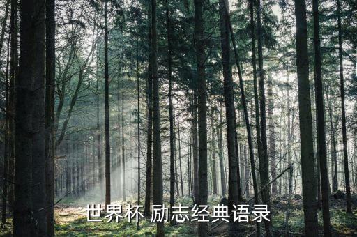 世界杯 勵(lì)志經(jīng)典語錄