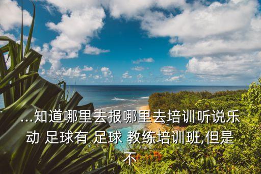 ...知道哪里去報哪里去培訓聽說樂動 足球有 足球 教練培訓班,但是不