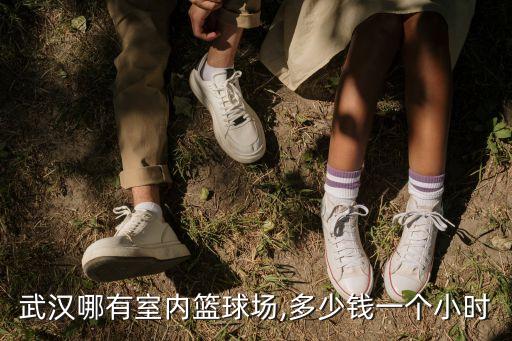 武漢哪有室內籃球場,多少錢一個小時