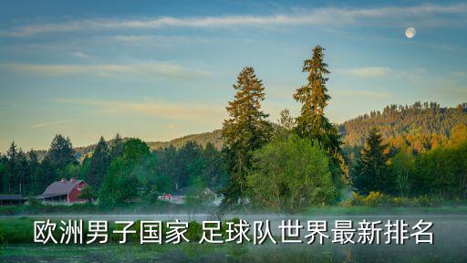 歐洲男子國(guó)家 足球隊(duì)世界最新排名