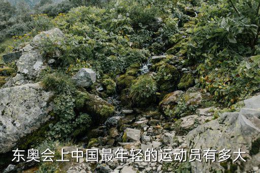 足球員張巖身高,世界杯身高最矮足球員