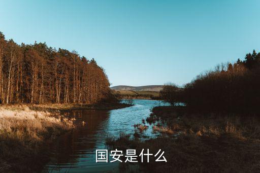 關(guān)于國(guó)安足球俱樂(lè)部的梗
