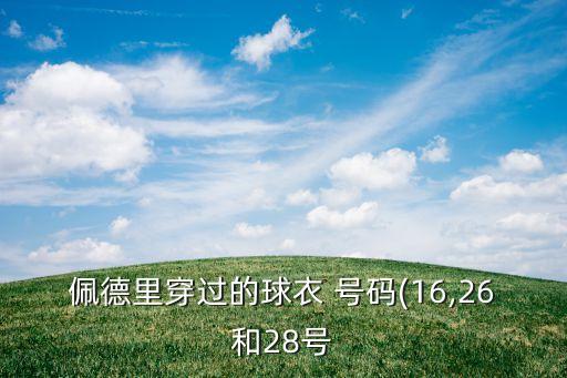 佩德里穿過的球衣 號(hào)碼(16,26和28號(hào)
