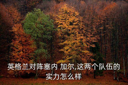 英格蘭對(duì)陣塞內(nèi) 加爾,這兩個(gè)隊(duì)伍的實(shí)力怎么樣