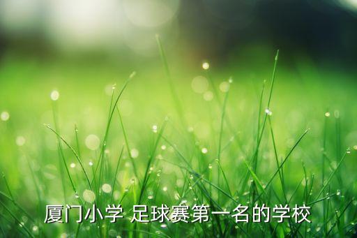 綿資育才足球,育才小學開展校園足球活動