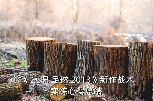 《 實(shí)況 足球 2013》新作戰(zhàn)術(shù)實(shí)練心得總結(jié)