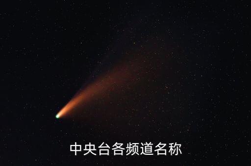 中央臺各頻道名稱