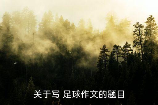 關(guān)于寫 足球作文的題目