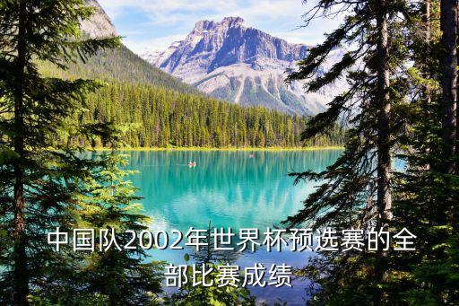  中國隊(duì)2002年世界杯預(yù)選賽的全部比賽成績