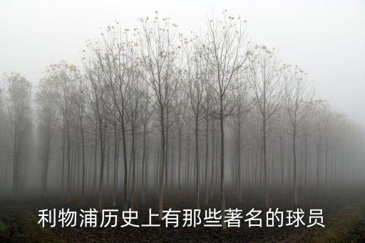 足球沃爾特斯