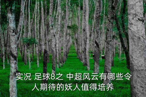  實況 足球8之 中超風云有哪些令人期待的妖人值得培養(yǎng)
