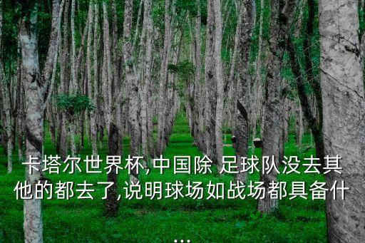 卡塔爾世界杯,中國除 足球隊沒去其他的都去了,說明球場如戰(zhàn)場都具備什...