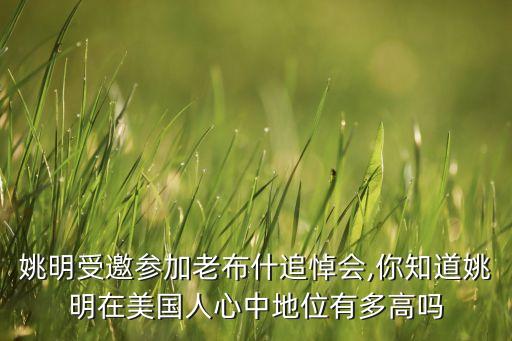 姚明受邀參加老布什追悼會(huì),你知道姚明在美國人心中地位有多高嗎