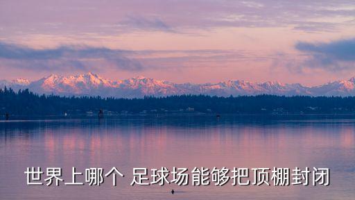 世界上哪個(gè) 足球場能夠把頂棚封閉