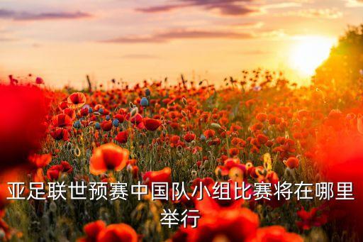 中國亞足球隊(duì),亞奧林足球隊(duì)介紹