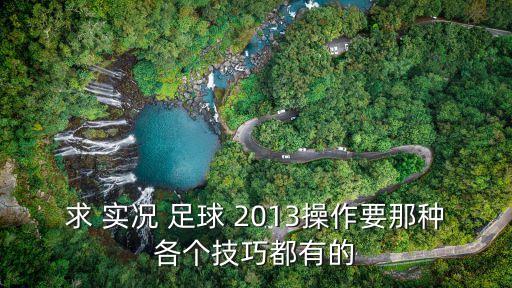 實(shí)況足球2013怎么玩