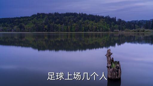 足球首發(fā)和替補(bǔ)