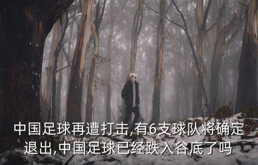 中國足球再遭打擊,有6支球隊(duì)將確定退出,中國足球已經(jīng)跌入谷底了嗎