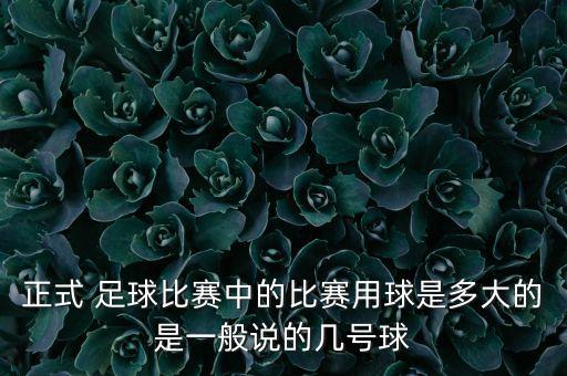 正式 足球比賽中的比賽用球是多大的是一般說的幾號球