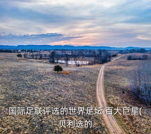 國際足聯(lián)評選的世界足壇 百大巨星(貝利選的