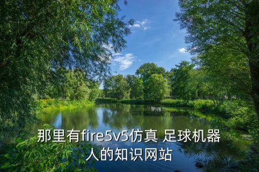 那里有fire5v5仿真 足球機器人的知識網(wǎng)站