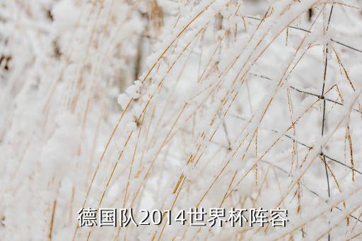  德國隊2014世界杯陣容