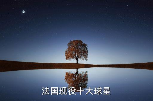 法國現(xiàn)役十大球星