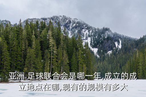 國際挑戰(zhàn)杯在日本足球