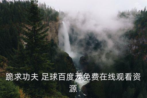 跪求功夫 足球百度云免費(fèi)在線觀看資源