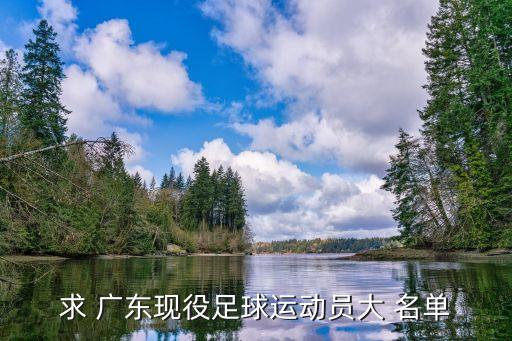 求 廣東現(xiàn)役足球運動員大 名單