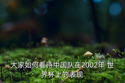大家如何看待中國隊在2002年 世界杯上的表現(xiàn)