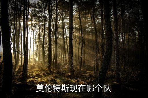 阿爾巴塞特足球俱樂部