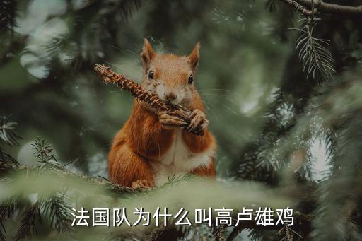 法國足球總會(huì),清華校友足球總會(huì)