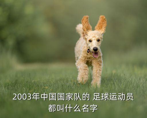 2003年中國國家隊(duì)的 足球運(yùn)動(dòng)員都叫什么名字