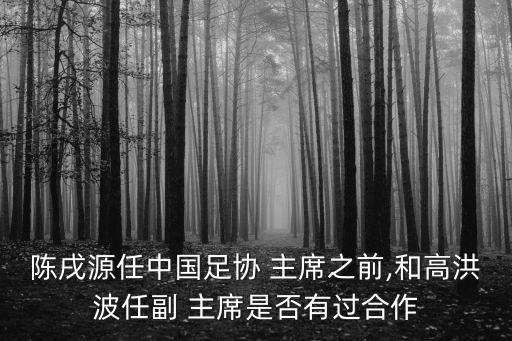 上海足球協(xié)會(huì)主席照片