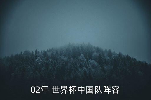 02年 世界杯中國隊(duì)陣容