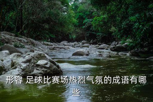 足球狂歡場(chǎng)面,足球場(chǎng)面描寫(xiě)片段