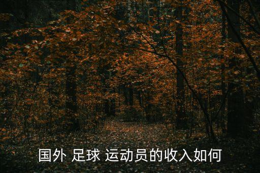 國(guó)外 足球 運(yùn)動(dòng)員的收入如何