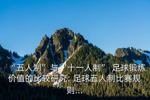 足球的體育科技,世界杯足球黑科技