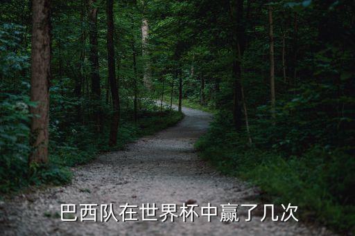 美國足球贏巴西,委內(nèi)瑞拉足球贏過巴西嗎