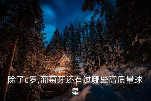 除了c羅,葡萄牙還有過哪些高質(zhì)量球星