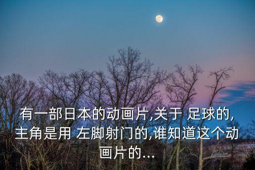 有一部日本的動(dòng)畫片,關(guān)于 足球的,主角是用 左腳射門的,誰(shuí)知道這個(gè)動(dòng)畫片的...