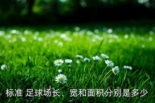 標(biāo)準(zhǔn) 足球場長、寬和面積分別是多少