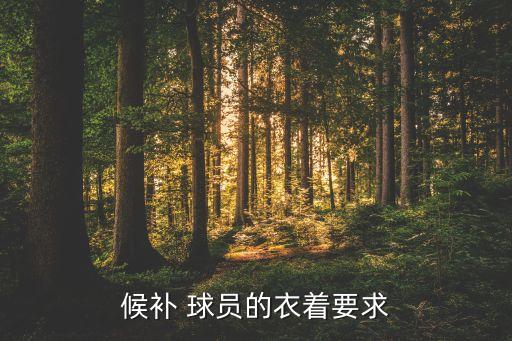 國(guó)足球員穿什么衣服,摩洛哥球員穿什么顏色衣服
