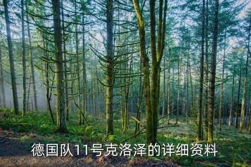 德國隊(duì)11號(hào)克洛澤的詳細(xì)資料