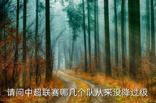 華夏辛福足球隊(duì)梯隊(duì)