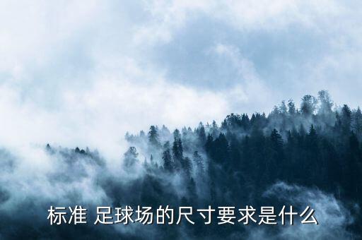  標(biāo)準(zhǔn) 足球場(chǎng)的尺寸要求是什么
