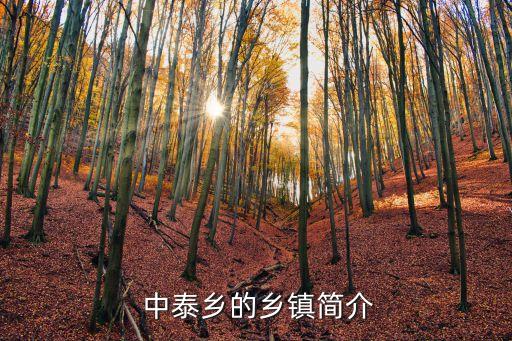 中泰鄉(xiāng)的鄉(xiāng)鎮(zhèn)簡介