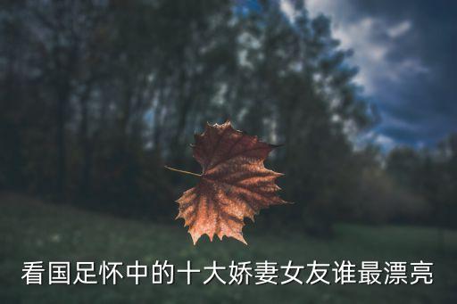 看國足懷中的十大嬌妻女友誰最漂亮